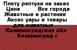 Плету рептухи на заказ › Цена ­ 450 - Все города Животные и растения » Аксесcуары и товары для животных   . Калининградская обл.,Калининград г.